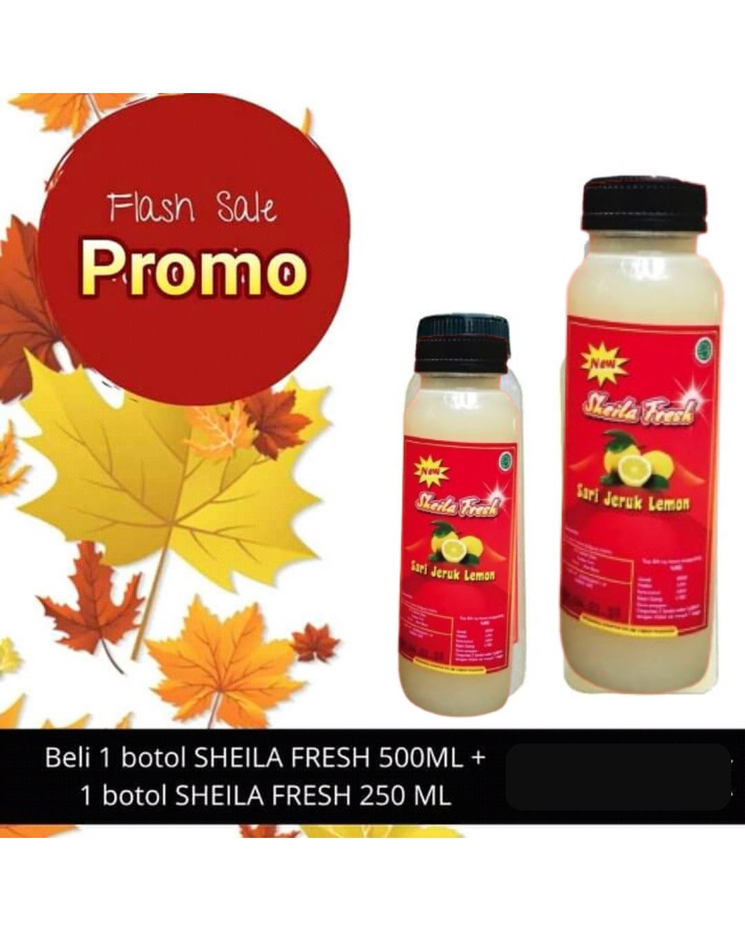 Paket Sheila Fresh